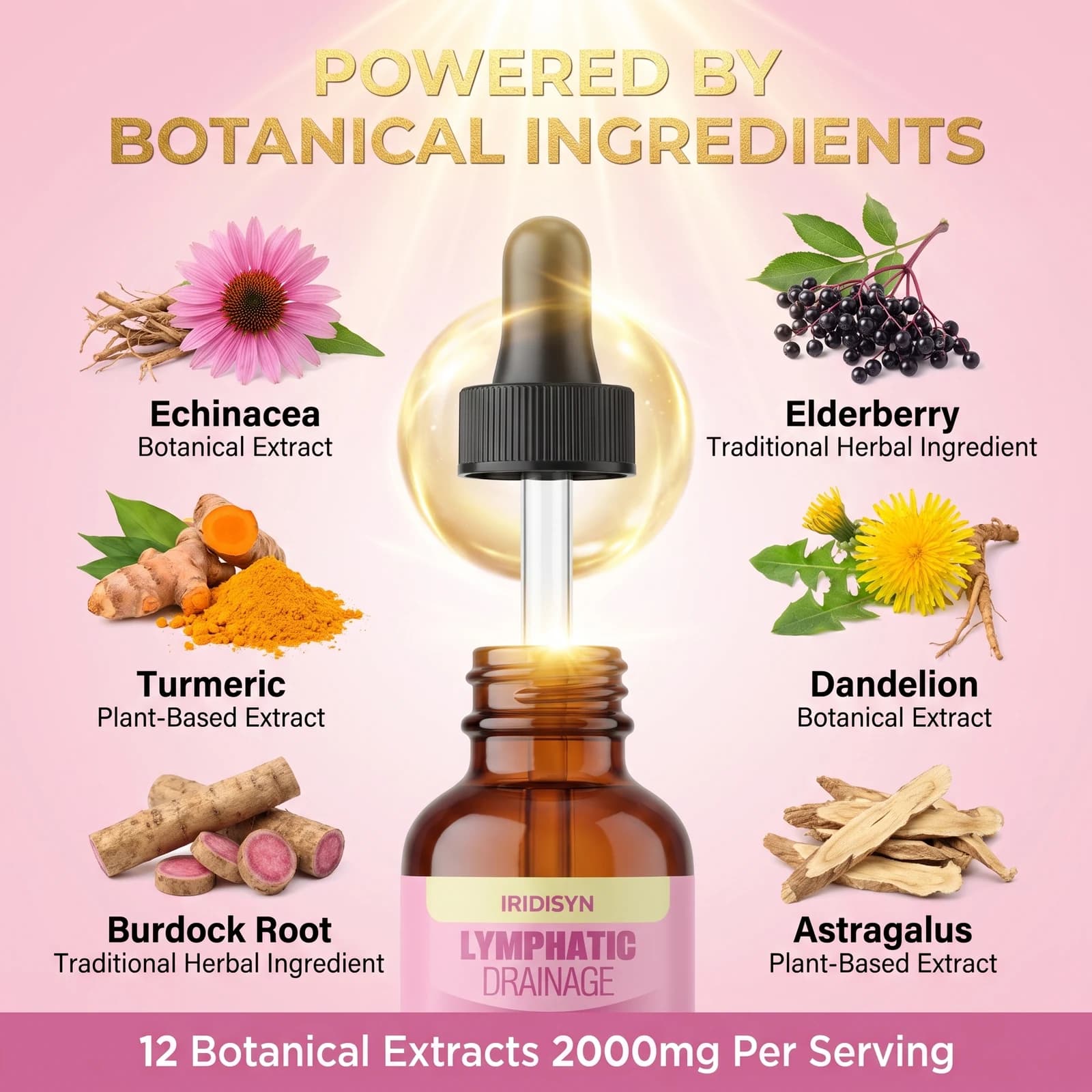 IRIDISYN botanical ingredient arrangement including dandelion used in the liquid formula