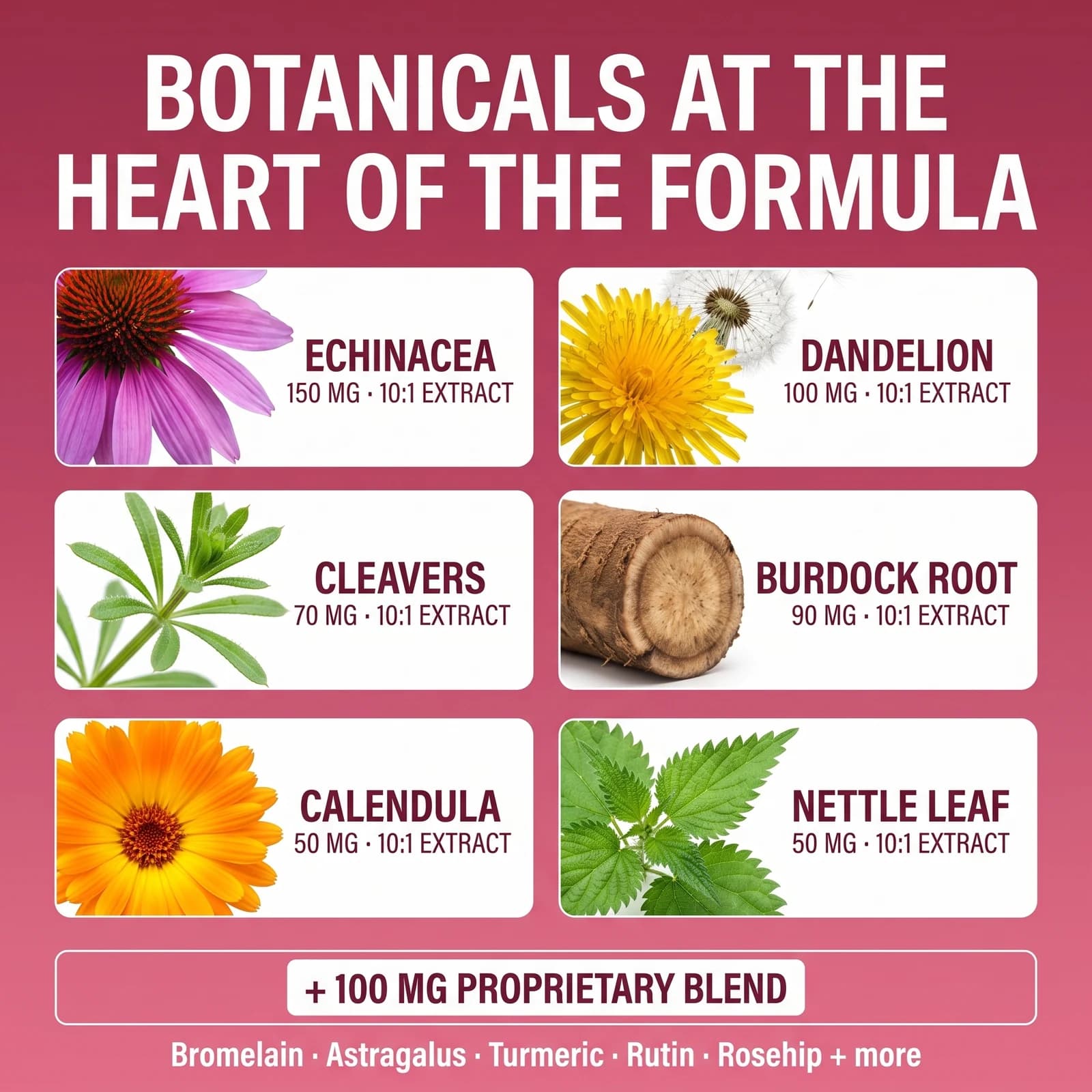 Botanical ingredients arranged with IRIDISYN softgels packaging